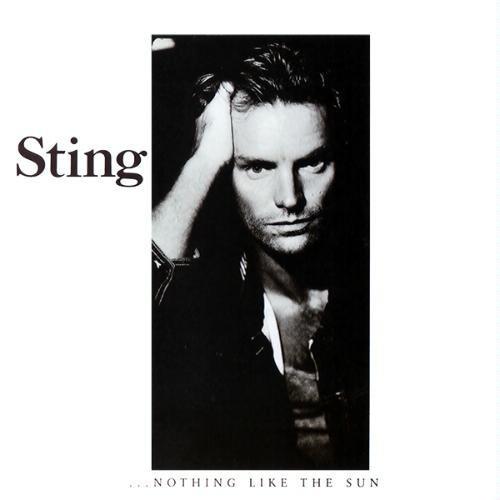 Nothing Like The Sun - Vinyl LP