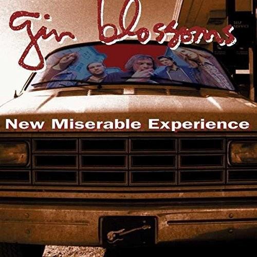 New Miserable Experience - Vinyl LP