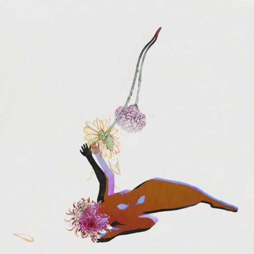 The Far Field - Vinyl LP