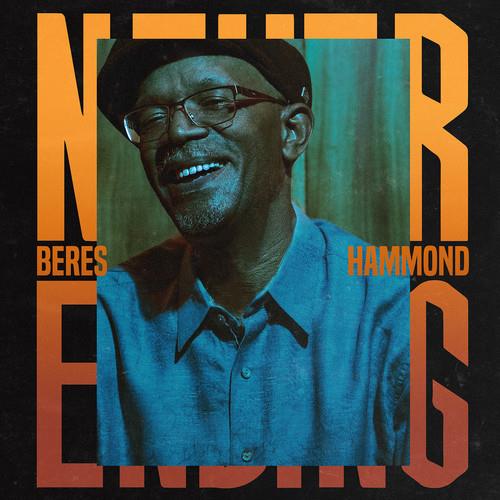 Never Ending - Vinyl LP
