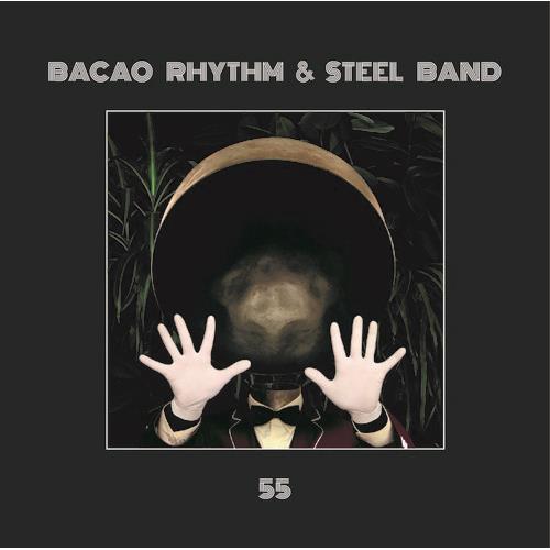 55 - Vinyl LP