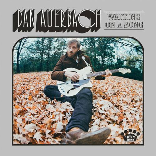 Waiting on a Song - Vinyl LP