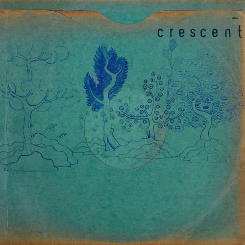 Resin Pockets - Vinyl LP 180 Gram