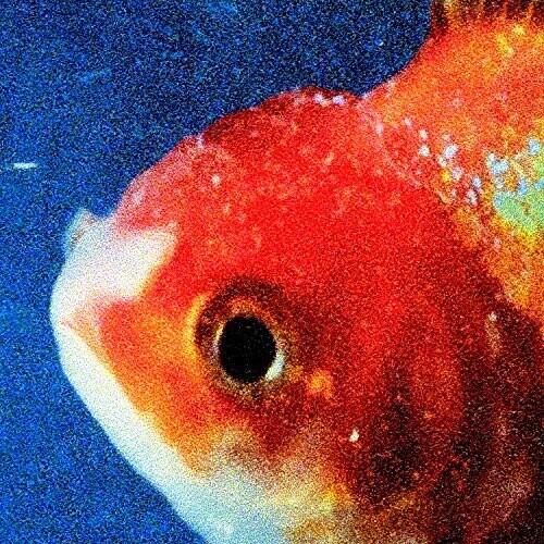 Big Fish Theory - Vinyl LP