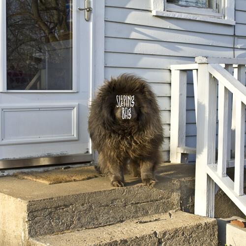 Sleeping Bag - Vinyl LP
