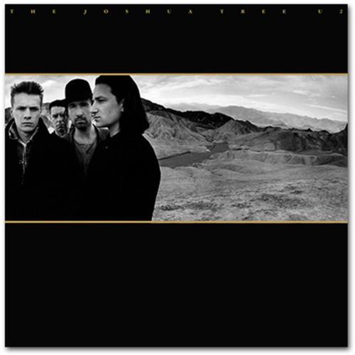 The Joshua Tree - Vinyl LP