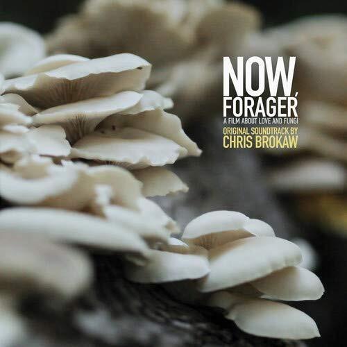 Now Forager (Original Soundtrack) - Vinyl LP