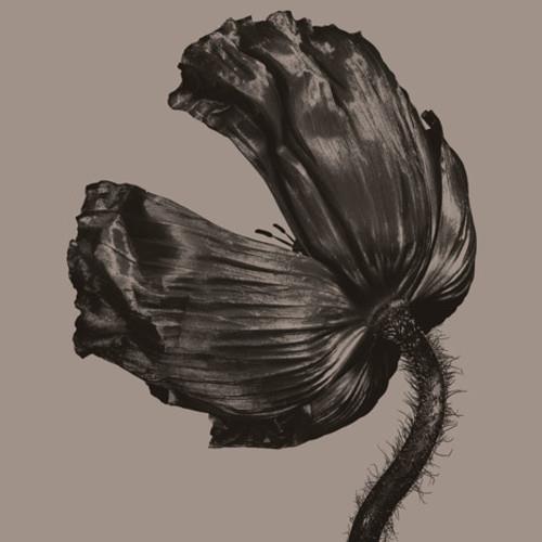 Release (2017 Remastered Version) - Vinyl LP