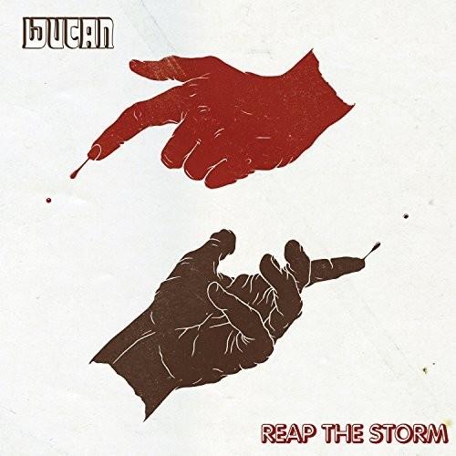 Reap The Storm - Vinyl LP 180 Gram (Black)