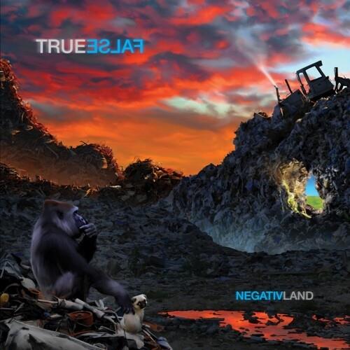True False - Vinyl LP