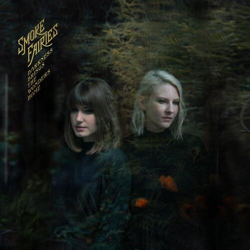 Darkness Brings The Wonders Home - Vinyl LP 180 Gram (Black)