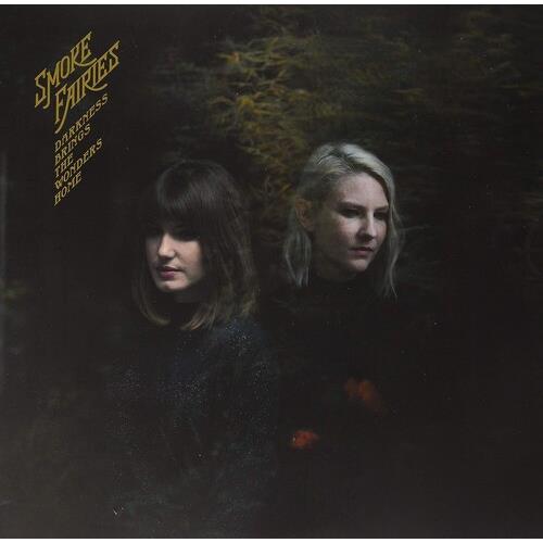 Darkness Brings The Wonders Home (Indie Exclusive) - Limited Edition Vinyl LP 180 Gram (Gold)