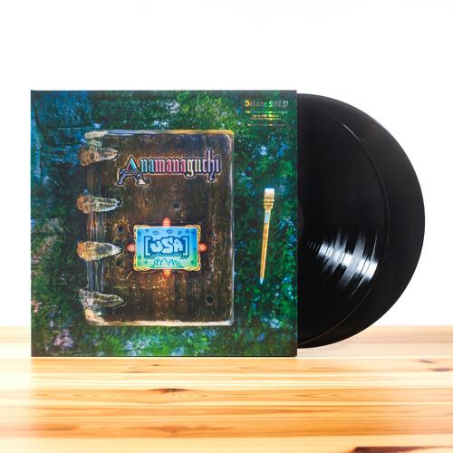 Vinyl record sleeve with a wooden door design and a paintbrush graphic