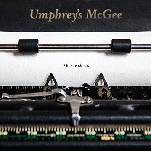 It's Not Us - Vinyl LP