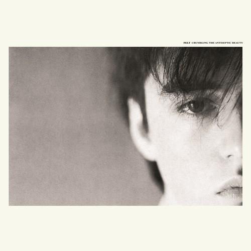 Crumbling The Antiseptic Beauty - Deluxe Edition Vinyl LP