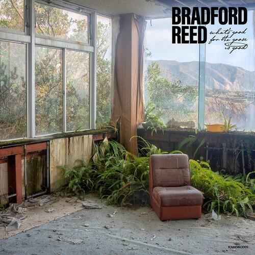 What's Good For The Goose Is Good - Vinyl LP