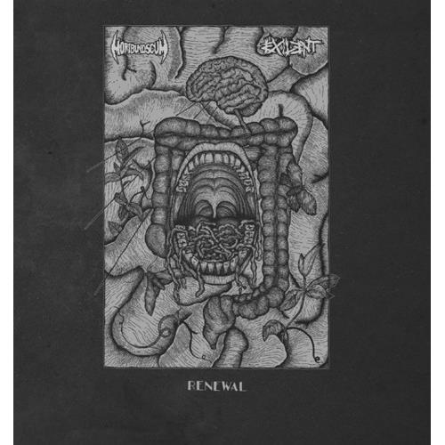 Renewal (Split) - Vinyl LP