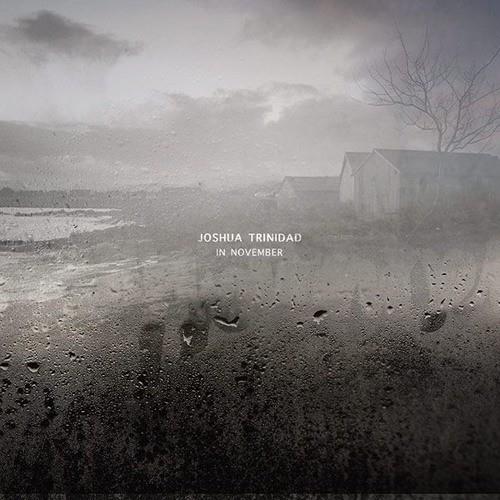 In November - Vinyl LP 180 Gram