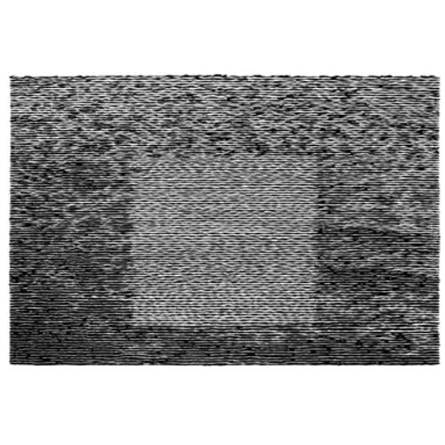 Grid Of Points - Vinyl LP