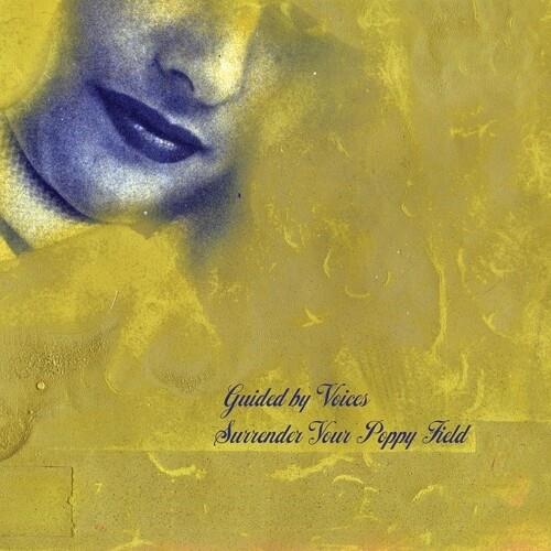 Surrender Your Poppy Field - Vinyl LP