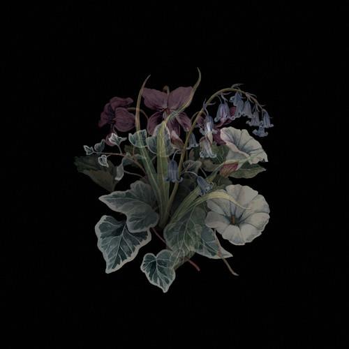 Wildflowers - Limited Edition Vinyl LP 180 Gram (Black)