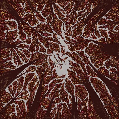 Crown Shyness - Vinyl LP