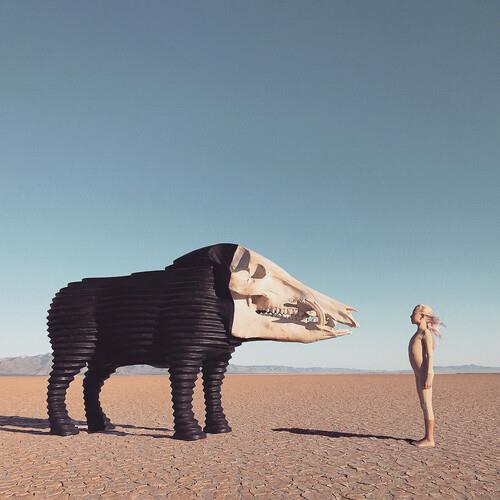 Dream Hunting In The Valley Of The In-between - Vinyl LP