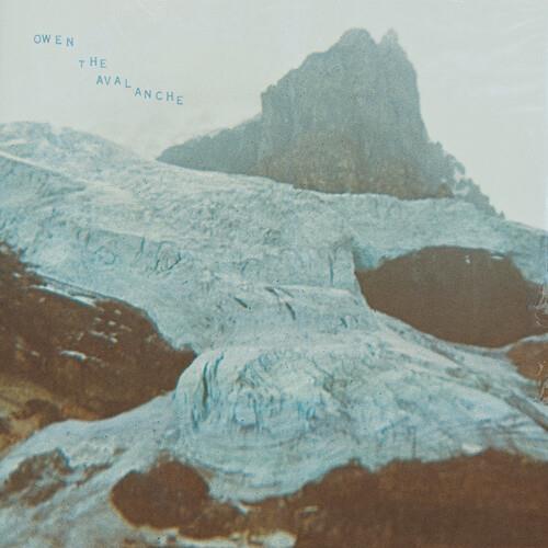 The Avalanche - Vinyl LP