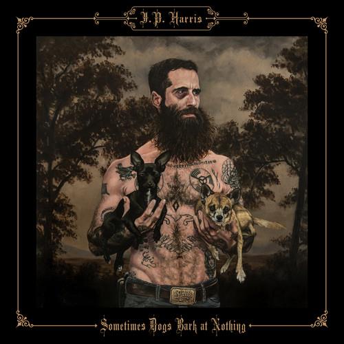 Sometimes Dogs Bark at Nothing - Vinyl LP