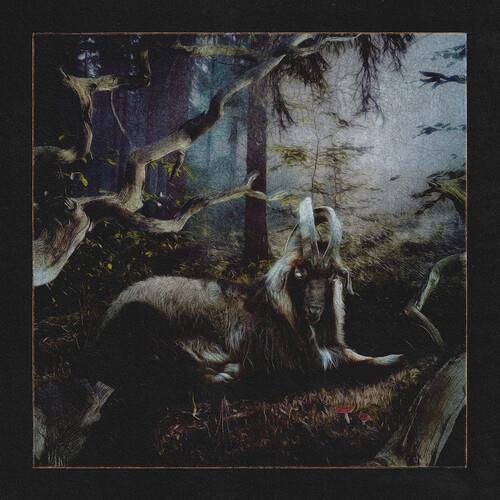 Feet Of Clay - Vinyl LP