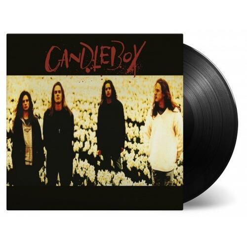 Black vinyl LP with album cover featuring four band members standing in a field of white flowers