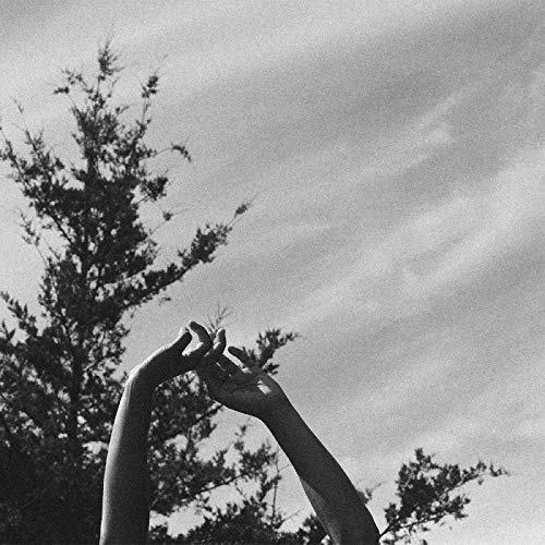 Remains - Vinyl LP