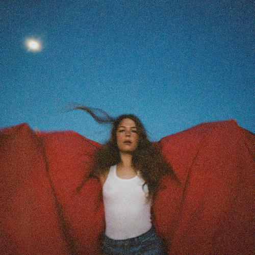 Heard It In A Past Life - Vinyl LP