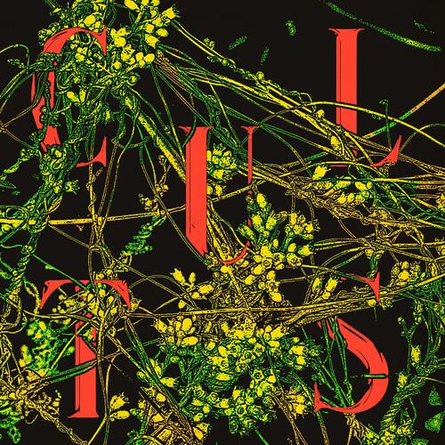 Host - Vinyl LP