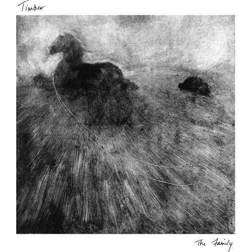 The Family - Vinyl LP