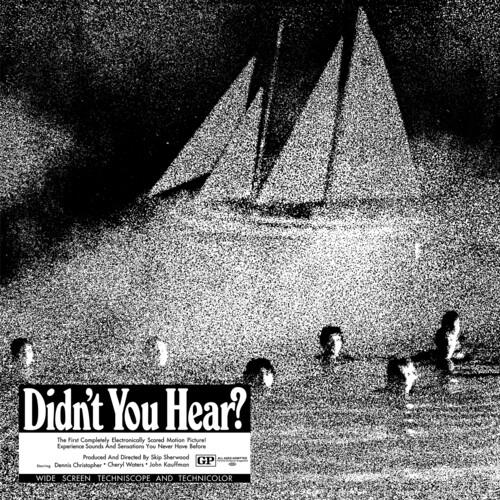 Didn't You Hear? - Vinyl LP