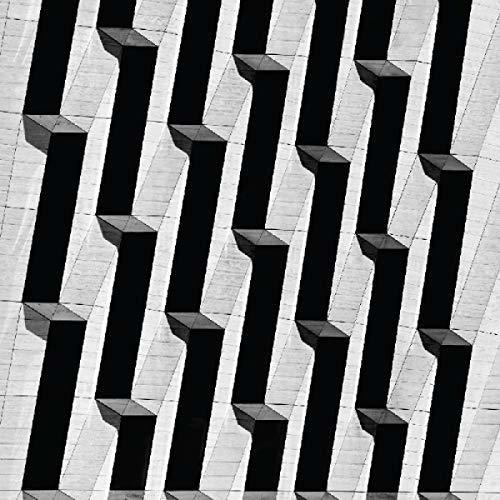 Everything Ascending - Vinyl LP
