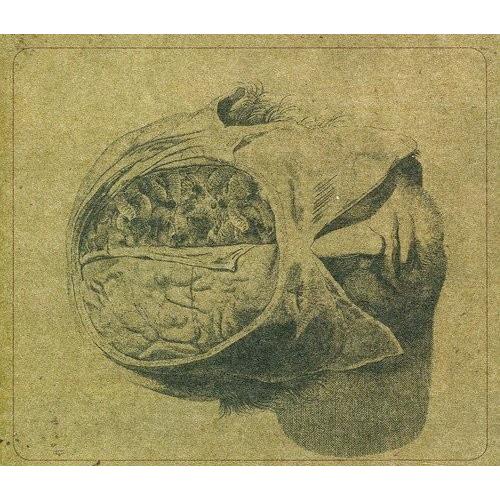 Insects - Vinyl LP