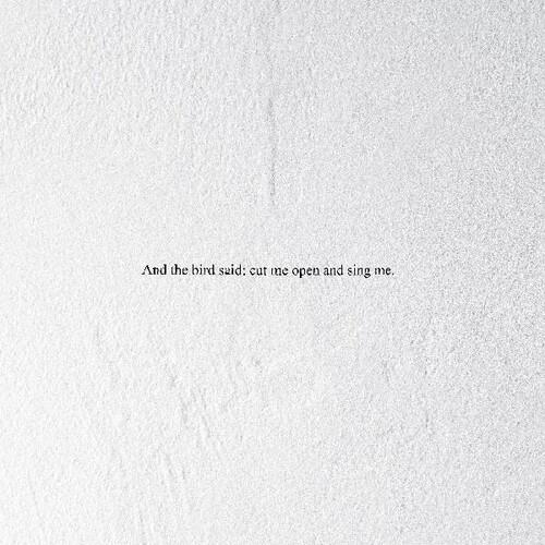 And the Bird Said: Cut Me Open and Sing Me - Vinyl LP 180 Gram