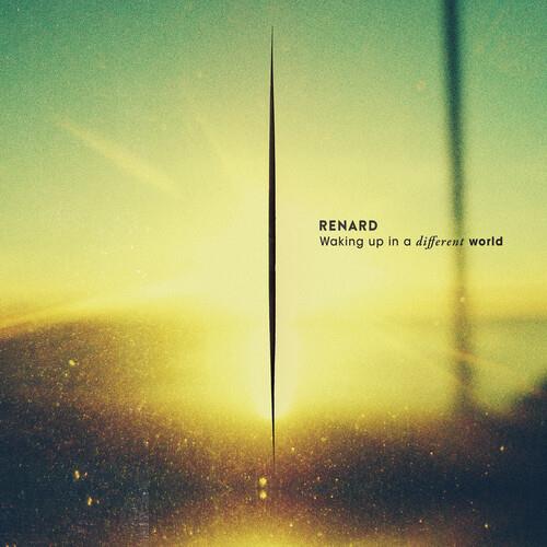 Waking Up In A Different World - Vinyl LP