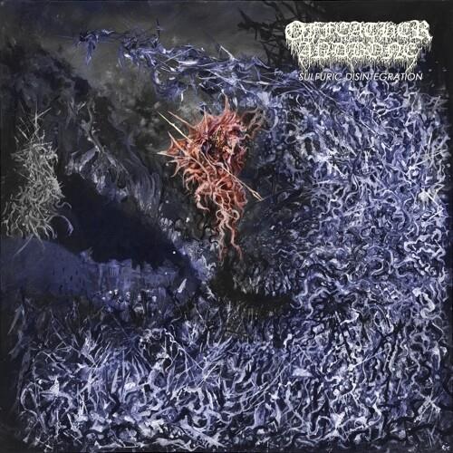 Sulfuric Disintegration - Vinyl LP