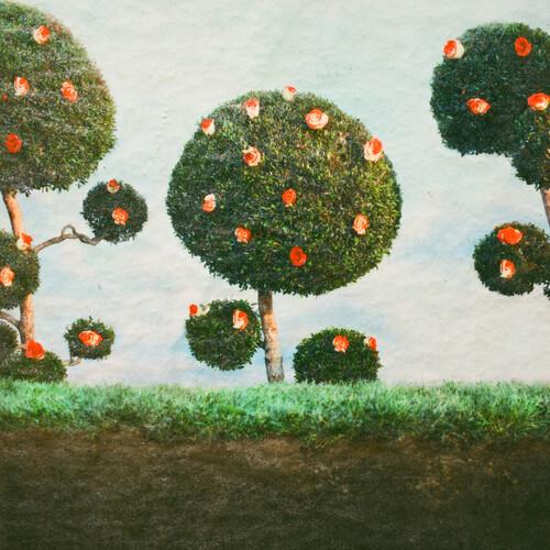 Painting the Roses - Vinyl LP