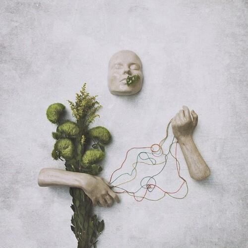 A Mouth May Grow - Vinyl LP