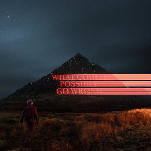 What Could Possibly Go Wrong - Vinyl LP 140 Gram