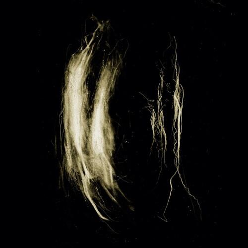 Plague Notes - Vinyl LP