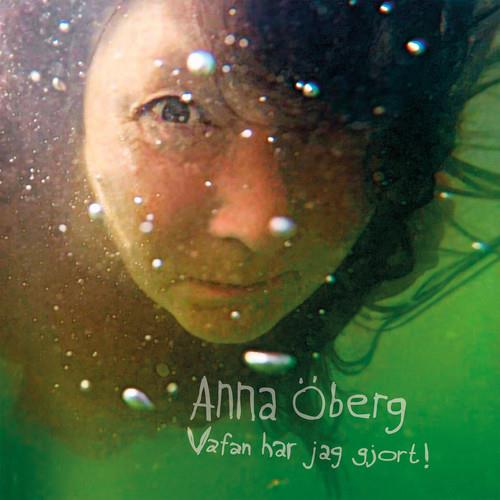 Vafan Har Jag Gjort! - Vinyl LP