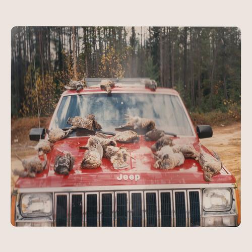 Are Sing Sinck Sing - Vinyl LP