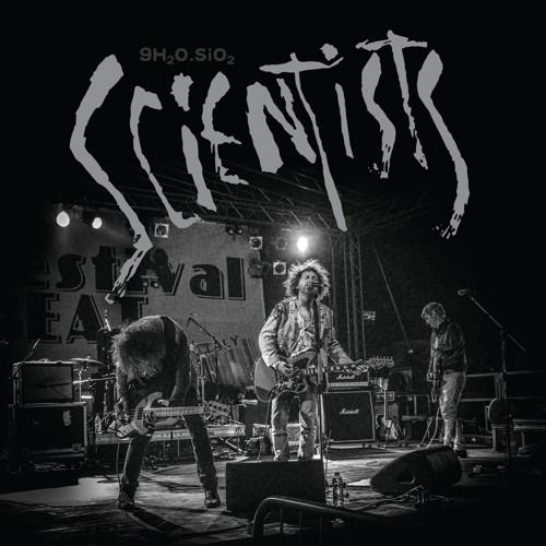 9h2o.sio2 - 12-Inch Single
