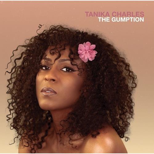 The Gumption - Vinyl LP