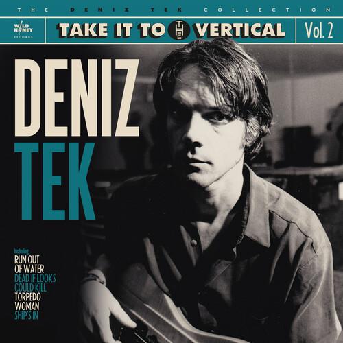 Take It To The Vertical - Vinyl LP
